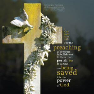 1 Cor 1:18 | scripture pictures at alittleperspective.com