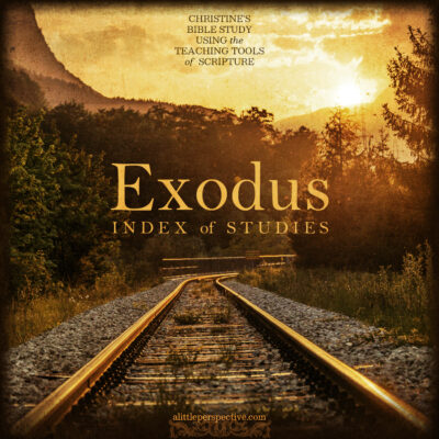 Exodus Index of Studies