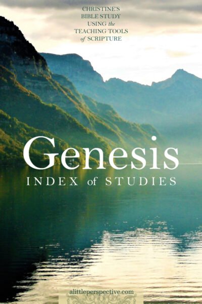 Genesis Index of Studies | Christine's Bible Study @ alittleperspective.com