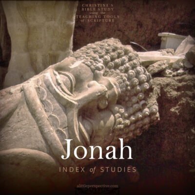 Jonah Index of Studies