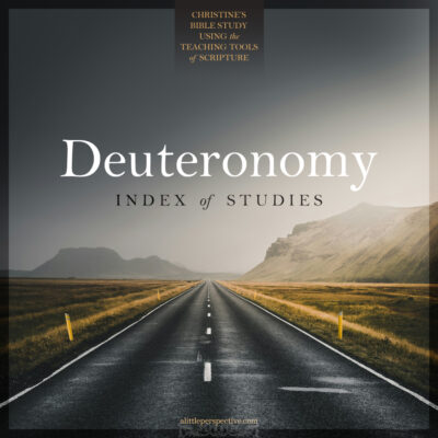 Deuteronomy Index of Studies