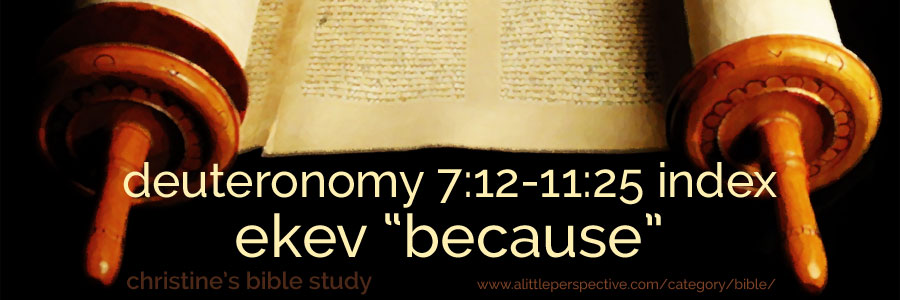 deuteronomy 7:12-11:25 ekev "because" index | christine's bible study at a little perspective