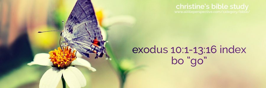 exodus 10:1-13:16 bo “go” index