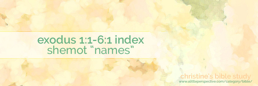 exodus 1:1-6:1 shemot "names" index | christine's bible study at a little perspective