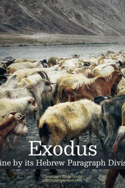 Exodus Outline by its Hebrew Paragraph Divisions | Christine's Bible Study @ alittleperspective.com