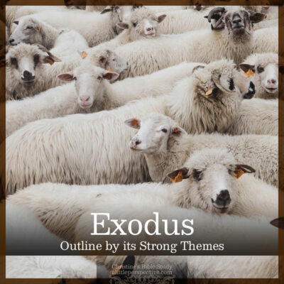 Outline of Exodus by its Strong Themes