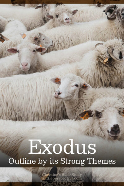 Exodus Outline by its Strong Themes | Christine's Bible Study @ alittleperspective.com