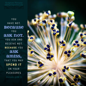 Jam 4:2b-3 | scripture pictures at alittleperspective.com