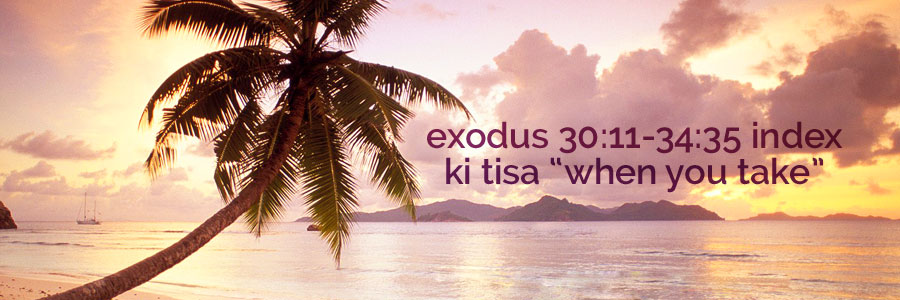 exodus 30:11-34:35, ki tisa “when you take” index
