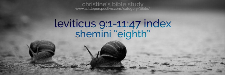 leviticus 9:1-11:47 shemini "eighth" index | christine's bible study at a little perspective