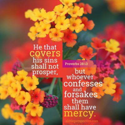 proverbs 28