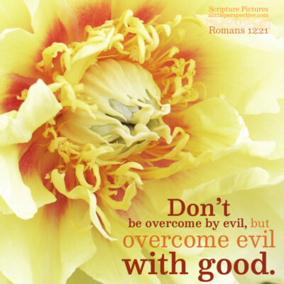 overcome evil with good