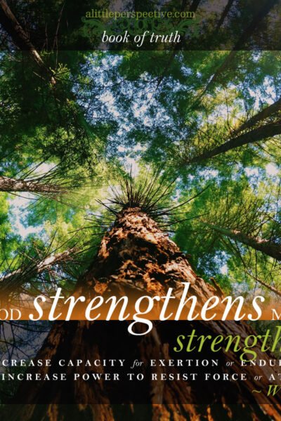 God strengthens me | the book of truth at alittleperspective.com