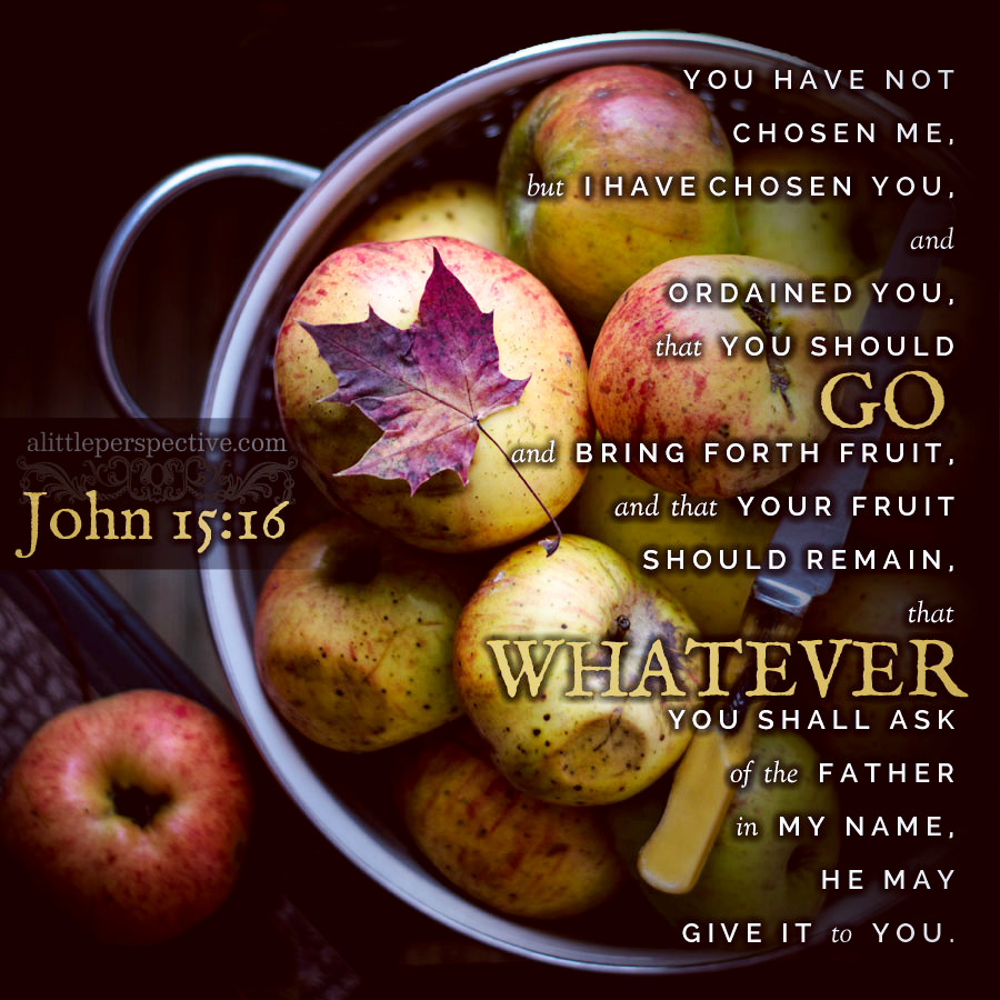Joh 15:16 | Scripture Pictures @ alittleperspective.com