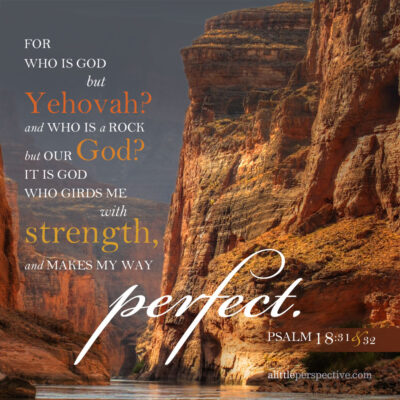Psalm 18, Perfecting my way
