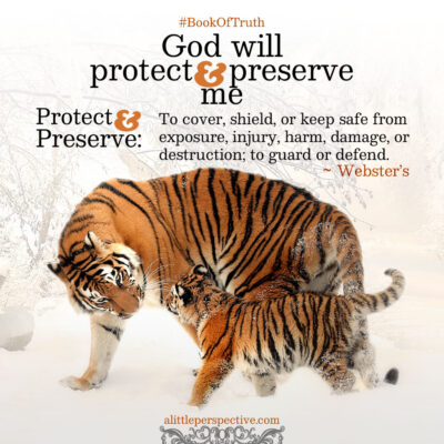 God will protect and preserve me