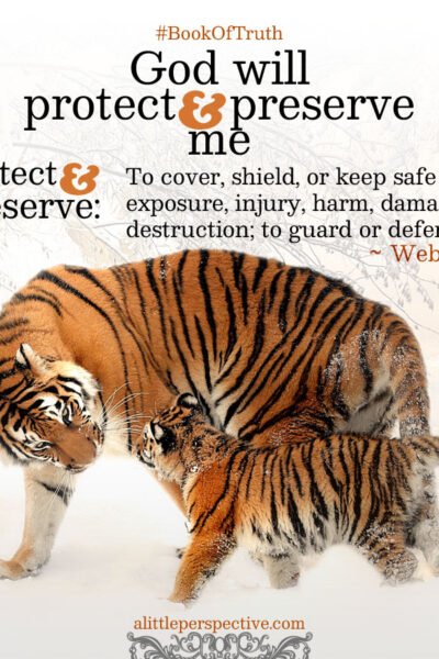 God will protect and preserve me | alittleperspective.com