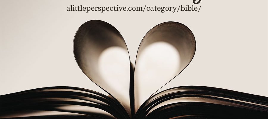 Christine's Bible Study | alittleperspective.com