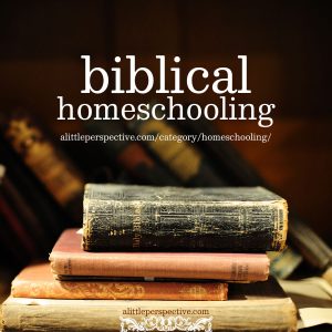 Biblical Homeschooling | alittleperspective.com