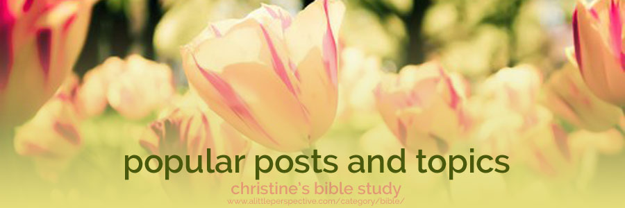 popular posts and topics | christine's bible study at a little perspective