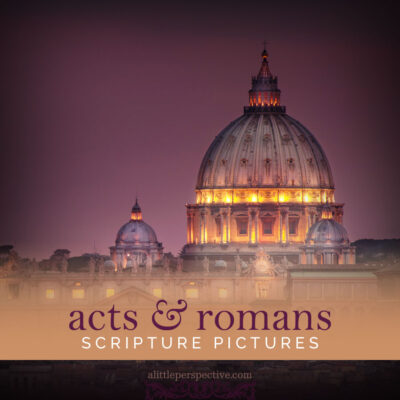 acts & romans gallery updated
