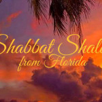 shabbat shalom from florida | a little perspective