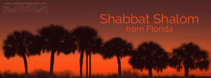 shabbat shalom from florida | a little perspective