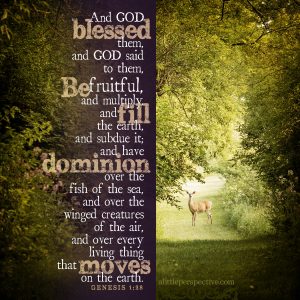 Gen 1:28 | scripture pictures at alittleperspective.com