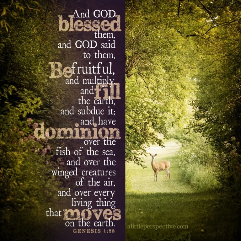 genesis-scripture-pictures