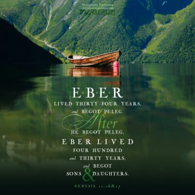 January 06 Bible Reading