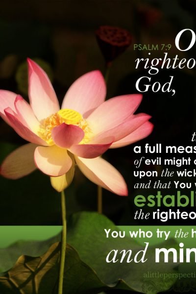 Psa 7:9 | scripture pictures at alittleperspective.com