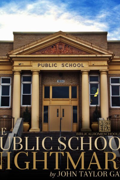 The Public School Nightmare by John Taylor Gatto | alittleperspective.com