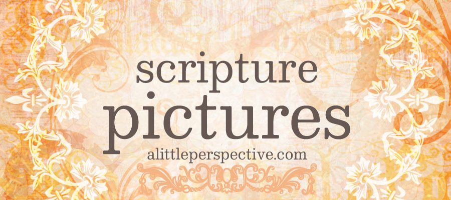 Scripture Pictures | alittleperspective.com