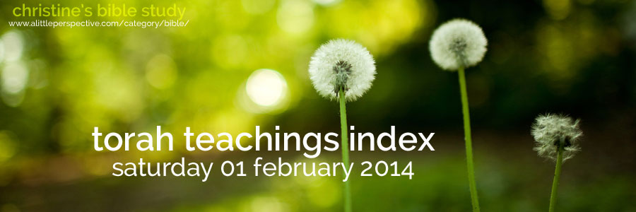 torah teachings index for sat 01 feb 2014 | christine's bible study at a little perspective