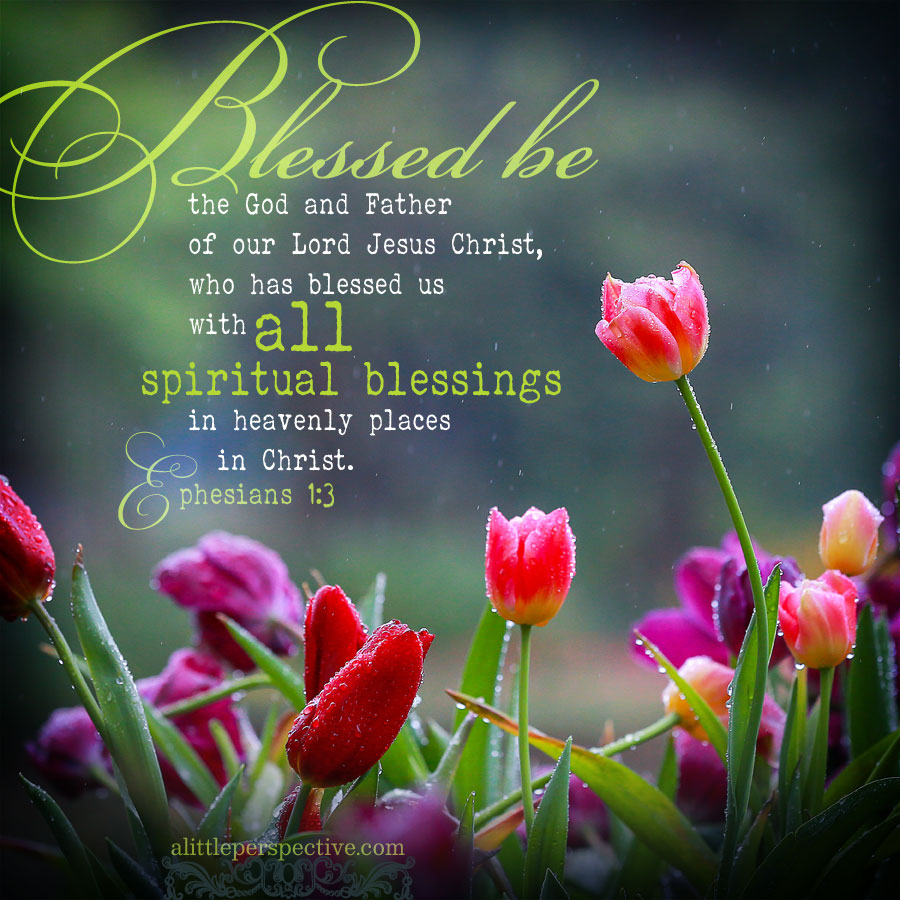Eph 1:3 | scripture pictures at alittleperspective.com