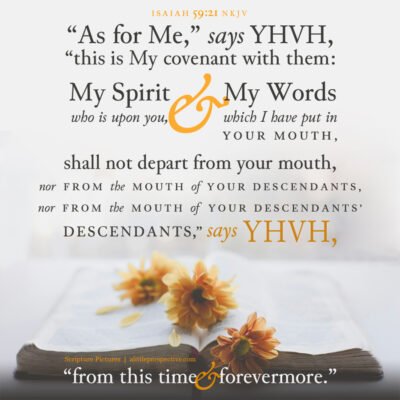 September 29 Bible Reading