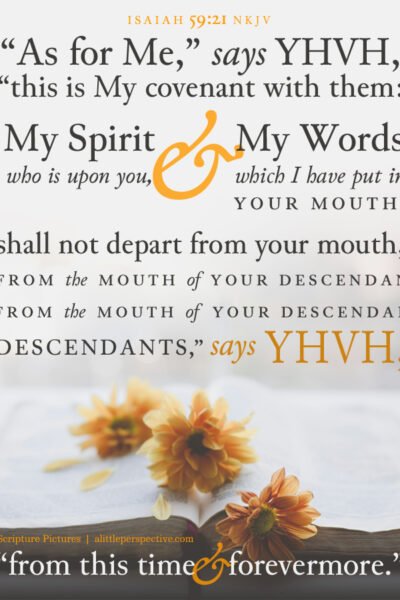 Isa 59:21 | Scripture Pictures @ alittleperspective.com