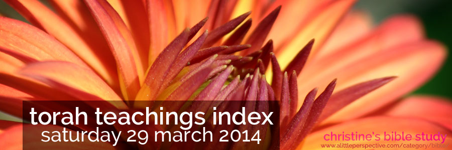 torah teachings index for saturday 29 march 2014