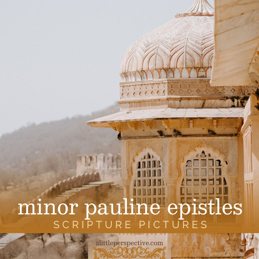 minor pauline epistles scripture pictures | scripture pictures at alittleperspective.com