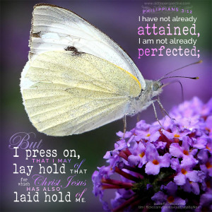 Phi 3:12 | scripture pictures at alittleperspective.com