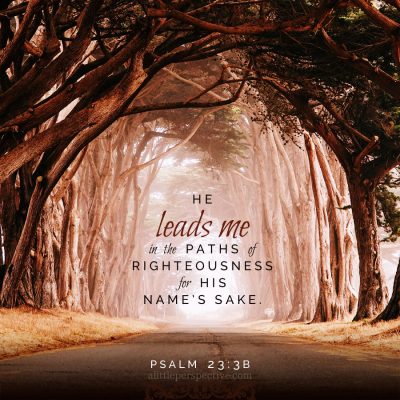 psalm 23, paths of righteousness