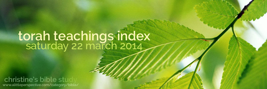 torah teachings index for saturday 22 march 2014