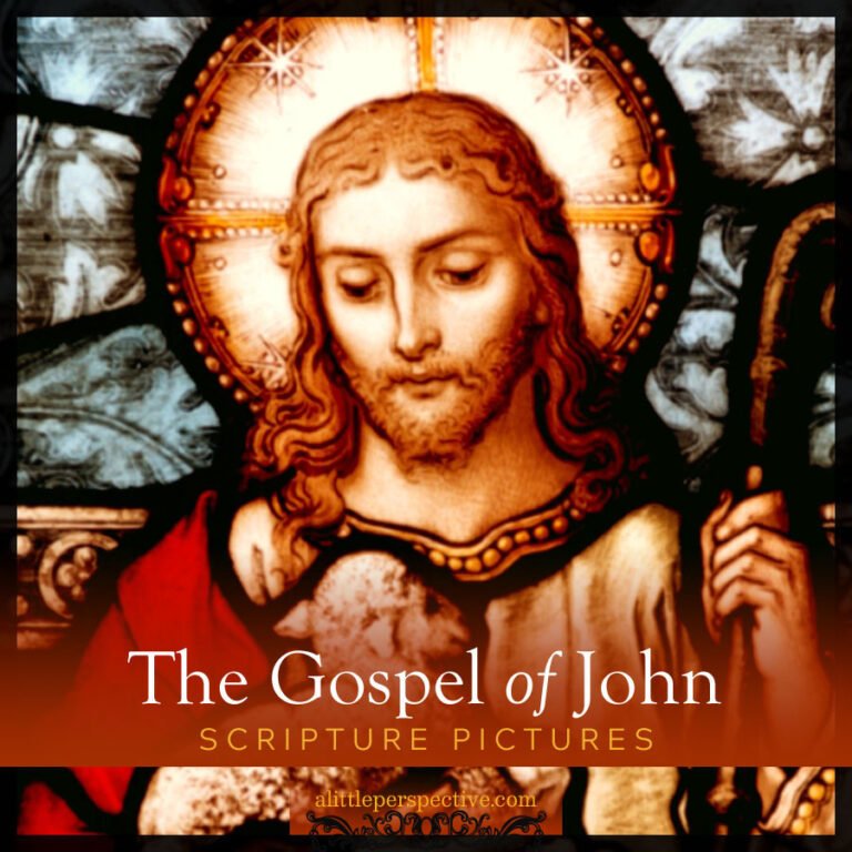 John Scripture Pictures