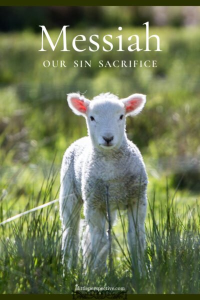 Messiah Our Sin Sacrifice | alittleperspective.com