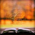 Psa 40:8 | scripture pictures @alittleperspective.com