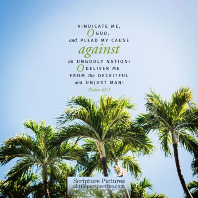 February 12 Bible Reading