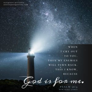 Psa 56:9 | Scripture Pictures @ alittleperspective.com