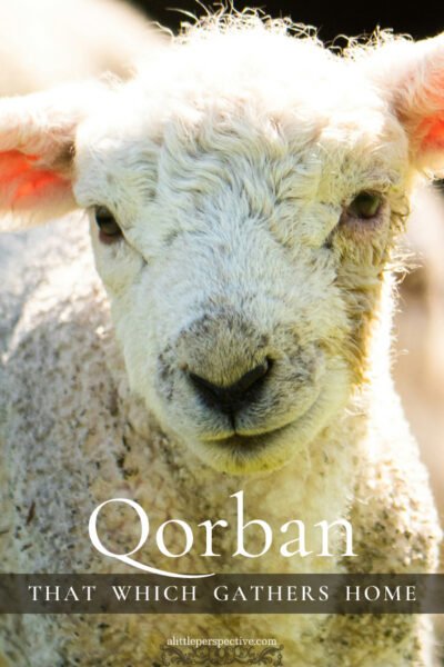Qorban, That Which Gathers Home | alittleperspective.com