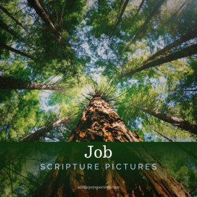 Job Scripture Pictures