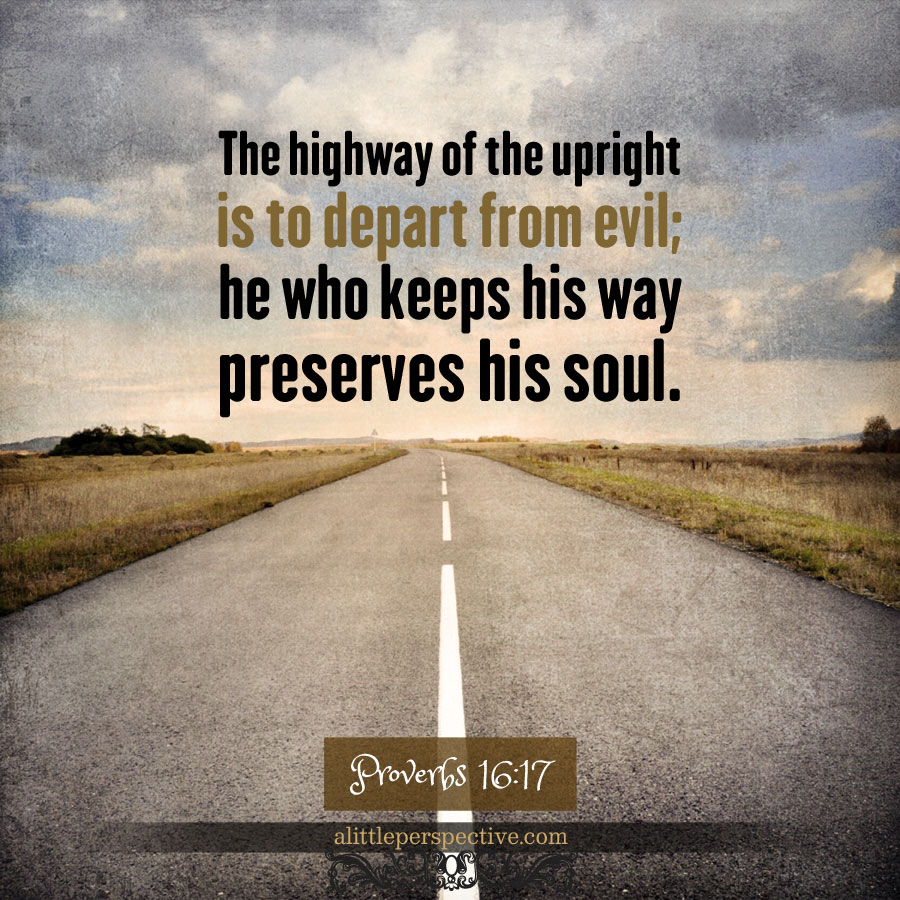 Pro 16:17 | scripture pictures at alittleperspective.com